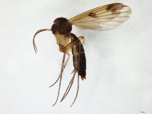  ( - TSZD-JKJ-105619)  @11 [ ] CreativeCommons - Attribution Non-Commercial Share-Alike (2019) Unspecified Tromsø University Museum