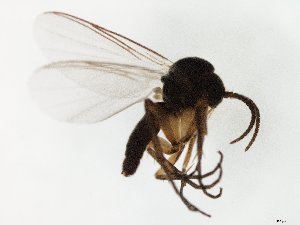  ( - TSZD-JKJ-107686)  @12 [ ] CreativeCommons - Attribution Non-Commercial Share-Alike (2019) Unspecified Tromsø University Museum