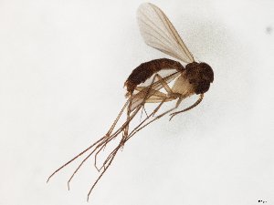  ( - TSZD-JKJ-107760)  @13 [ ] CreativeCommons - Attribution Non-Commercial Share-Alike (2019) Unspecified Tromsø University Museum
