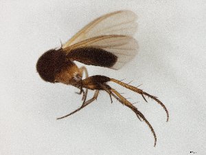  ( - TSZD-JKJ-107783)  @13 [ ] CreativeCommons - Attribution Non-Commercial Share-Alike (2019) Unspecified Tromsø University Museum