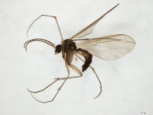  ( - TSZD-JKJ-107903)  @11 [ ] CreativeCommons - Attribution Non-Commercial Share-Alike (2019) Unspecified Tromsø University Museum
