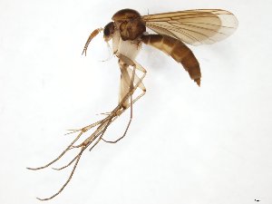  ( - TSZD-JKJ-111189)  @11 [ ] by-nc-sa (2020) Unspecified Tromsø University Museum
