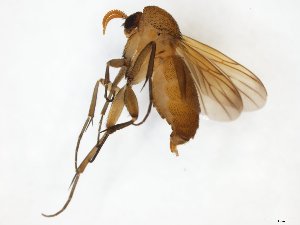  ( - TSZD-JKJ-111227)  @11 [ ] by-nc-sa (2020) Unspecified Tromsø University Museum