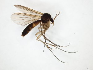  ( - TSZD-JKJ-111256)  @11 [ ] by-nc-sa (2020) Unspecified Tromsø University Museum