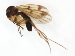  ( - TSZD-JKJ-111449)  @11 [ ] by-nc-sa (2020) Unspecified Tromsø University Museum