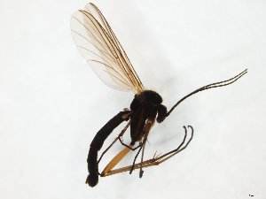  ( - TSZD-JKJ-111464)  @11 [ ] by-nc-sa (2020) Unspecified Tromsø University Museum