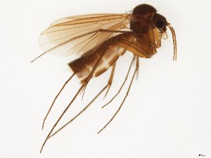  ( - TSZD-JKJ-111843)  @11 [ ] by-nc-sa (2021) Unspecified Tromsø University Museum