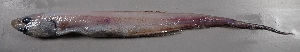  ( - JDX004)  @11 [ ] Unspecified (default): All Rights Reserved  Unspecified Unspecified
