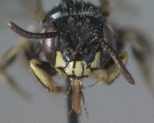  ( - Bee5-2)  @11 [ ] Copyright (2010) Unspecified Unspecified