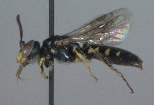  ( - Bee5-2)  @11 [ ] Copyright (2010) Unspecified Unspecified