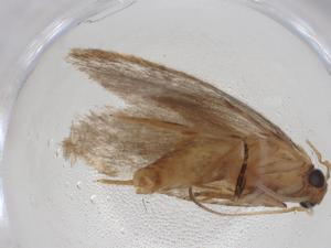  ( - CBG-A27053-E02)  @11 [ ] CreativeCommons - Attribution Share - Alike (2024) Centre for Biodiversity Genomics Centre for Biodiversity Genomics