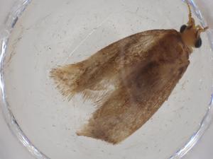  ( - CBG-A27068-C05)  @11 [ ] CreativeCommons - Attribution Share - Alike (2024) Centre for Biodiversity Genomics Centre for Biodiversity Genomics