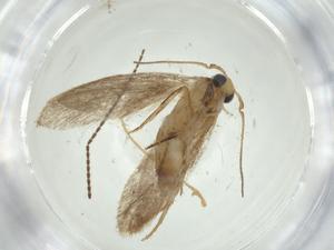  ( - CBG-A27069-B12)  @11 [ ] CreativeCommons - Attribution Share - Alike (2024) Centre for Biodiversity Genomics Centre for Biodiversity Genomics