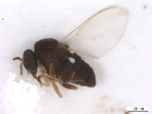  ( - BIOUG01376-A01)  @12 [ ] CreativeCommons - Attribution (2011) CBG Photography Group Centre for Biodiversity Genomics