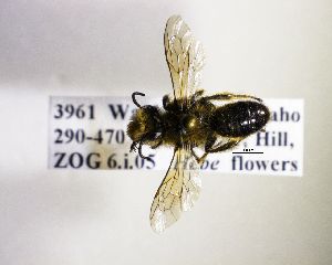  ( - NZBEE101)  @12 [ ] Copyright (2016) Unspecified Waikato University