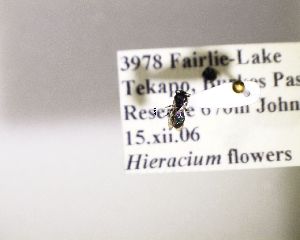  ( - NZBEE129)  @12 [ ] Copyright (2016) Unspecified Waikato University