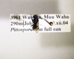  ( - NZBEE132)  @11 [ ] Copyright (2016) Unspecified Waikato University