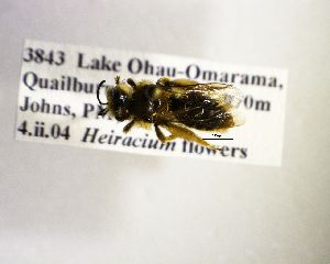  ( - NZBEE98)  @12 [ ] Copyright (2016) Unspecified Waikato University
