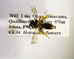  ( - NZBEE99)  @12 [ ] Copyright (2016) Unspecified Waikato University