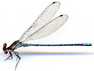  ( - WH-DCR-505)  @11 [ ] Attribution-NonCommercial-ShareAlike CC BY-NC-SA (2025) William Haber University of Costa Rica