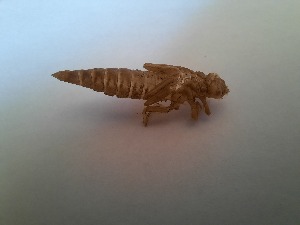  ( - OdoQC031)  @11 [ ] Unspecified (default): All Rights Reserved  Unspecified Unspecified