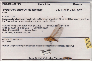  ( - 10-SKOD-121)  @12 [ ] CreativeCommons - Attribution (2010) Unspecified Centre for Biodiversity Genomics