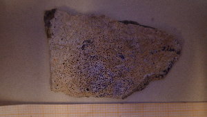  (Porpidia melinodes - BG-L-99150)  @11 [ ] CreativeCommons - Attribution Non-Commercial (2017) Tor Tønsberg University Museum of Bergen