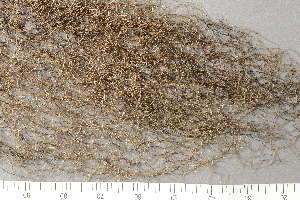  ( - O-L-123831)  @11 [ ] by-nc (2020) Einar Timdal Natural History Museum, University of Oslo, Norway