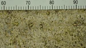  (Eopyrenula - O-L-206762)  @11 [ ] CreativeCommons - Attribution Non-Commercial Share-Alike (2017) Unspecified Natural History Museum, University of Oslo, Norway
