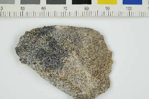  ( - O-L-229366)  @11 [ ] by-nc (2022) Erik J. Möller University of Oslo, Natural History Museum