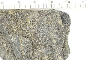  ( - O-L-229400)  @11 [ ] by-nc (2022) Erik J. Möller University of Oslo, Natural History Museum