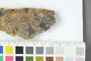  (Rhizocarpon hochstetteri - O-L-229449)  @11 [ ] by-nc (2022) Erik J. Möller University of Oslo, Natural History Museum