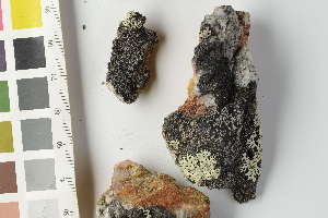  (Rhizocarpon geminatum - O-L-240836)  @11 [ ] by-nc (2024) Erik J. Möller University of Oslo, Natural History Museum