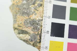  ( - O-L-240867b)  @11 [ ] by-nc (2025) Erik J. M&ouml;ller University of Oslo, Natural History Museum