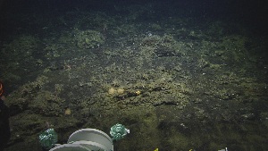  ( - NA097-025-01-A-BOL)  @11 [ ] CreativeCommons - Attribution Non-Commercial Share-Alike (2018) Tammy Norgard Ocean Exploration Trust, Northeast Pacific Seamount Expedition Partners