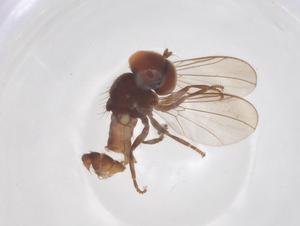  ( - BIOUG34397-C09)  @11 [ ] CreativeCommons - Attribution Share - Alike (2025) Centre for Biodiversity Genomics Centre for Biodiversity Genomics