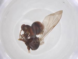  ( - BIOUG33749-A05)  @11 [ ] CreativeCommons - Attribution Share - Alike (2025) Centre for Biodiversity Genomics Centre for Biodiversity Genomics