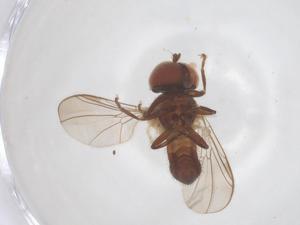  ( - BIOUG33570-D06)  @11 [ ] CreativeCommons - Attribution Share - Alike (2025) Centre for Biodiversity Genomics Centre for Biodiversity Genomics