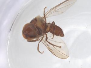  ( - BIOUG33571-A02)  @11 [ ] CreativeCommons - Attribution Share - Alike (2025) Centre for Biodiversity Genomics Centre for Biodiversity Genomics