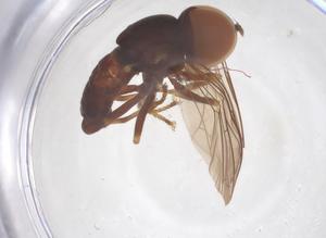  ( - BIOUG35210-G04)  @11 [ ] CreativeCommons - Attribution Share - Alike (2025) Centre for Biodiversity Genomics Centre for Biodiversity Genomics