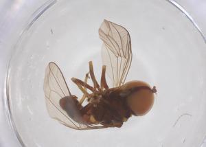  ( - BIOUG35211-C08)  @11 [ ] CreativeCommons - Attribution Share - Alike (2025) Centre for Biodiversity Genomics Centre for Biodiversity Genomics