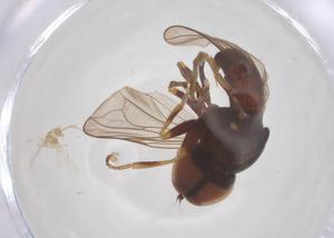  ( - BIOUG35211-G05)  @11 [ ] CreativeCommons - Attribution Share - Alike (2025) Centre for Biodiversity Genomics Centre for Biodiversity Genomics