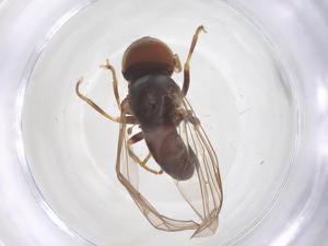  ( - BIOUG35212-G07)  @11 [ ] CreativeCommons - Attribution Share - Alike (2025) Centre for Biodiversity Genomics Centre for Biodiversity Genomics