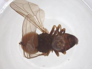  ( - BIOUG35213-C08)  @11 [ ] CreativeCommons - Attribution Share - Alike (2025) Centre for Biodiversity Genomics Centre for Biodiversity Genomics