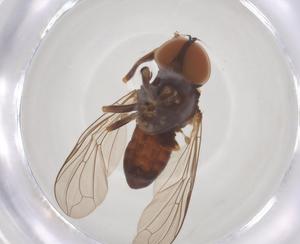  ( - BIOUG35213-H08)  @11 [ ] CreativeCommons - Attribution Share - Alike (2025) Centre for Biodiversity Genomics Centre for Biodiversity Genomics