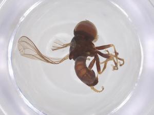  ( - BIOUG35218-H10)  @11 [ ] CreativeCommons - Attribution Share - Alike (2025) Centre for Biodiversity Genomics Centre for Biodiversity Genomics