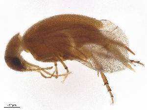  ( - BIOUG35748-F07)  @11 [ ] CreativeCommons - Attribution Share - Alike (2025) CBG Photography Group Centre for Biodiversity Genomics