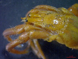  ( - CRDN16)  @11 [ ] cc-by-sa (2024) Jannes Landschoff The Sea Change Project