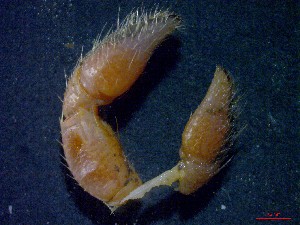  ( - CRDN16)  @11 [ ] cc-by-sa (2024) Jannes Landschoff The Sea Change Project