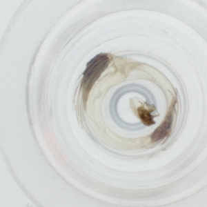  ( - OUMK_023_D10)  @11 [ ] by  Genome Research Ltd as Wellcome Sanger Institute Genome Research Limited operating as Wellcome Sanger Institute